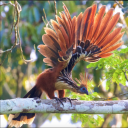 inactiveforeverandever avatar