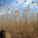 inaforeignland avatar