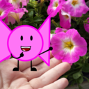 inanimate-insanity-irl avatar