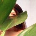 inarahdari-blog avatar