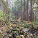 inathingiread avatar