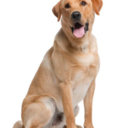 inbedwithphan avatar