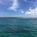 incandescen--ce avatar