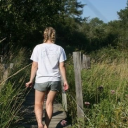 incandescen-ce avatar