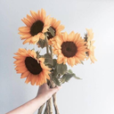 incandescentblues avatar