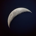 incarnadinequeen avatar