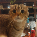 incestandcommunism avatar