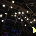 incidentallylovely avatar