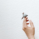 incirkuslarii avatar