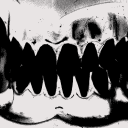 incisor-studios avatar