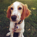 inciteinsight avatar