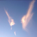 inckydinkydoo avatar