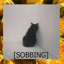 include-name-here avatar