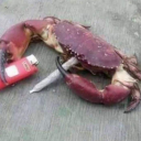 inconspicuous-usernameee avatar