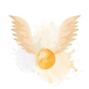 incorect-wotters avatar