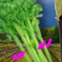 incorrect-composer-quotes avatar