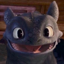 incorrect-httyd avatar