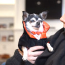 incorrect-jnj avatar