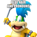 incorrect-koopalings avatar