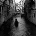 incorrect-six-of-crows avatar