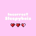 incorrect-sleepyboys-inc avatar