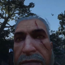 incorrect-witcher avatar