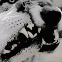 incorrectgreencreek avatar