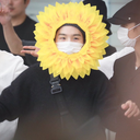 incorrectvsuga avatar