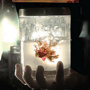 incorretmonstrumologistquotes avatar