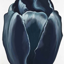 incorrigibletenderness avatar