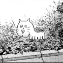 incrediblyconfuzzled avatar