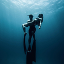 incriminating-wisdom avatar