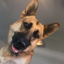 incurablebookwyrm avatar