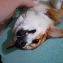 indahkematian avatar