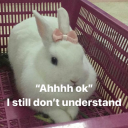 indeciisionnn avatar