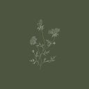 indecisivewhims avatar