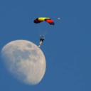 indeedyparachutes avatar