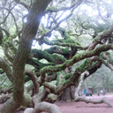 independentwanderer90 avatar