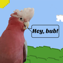 indianathegalah avatar