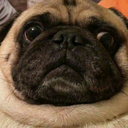 indiansummerz-blog avatar