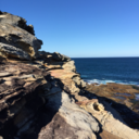 indiarnar-blog-blog avatar