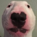 indiavolowetrust avatar