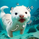 indicolite-me avatar