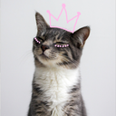 indie-flow-er avatar