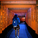 indiesmisfits avatar