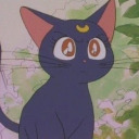 indiestarvogues avatar