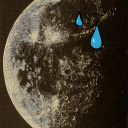 indifferent-egg avatar