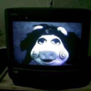 indigeauxheaux avatar