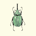 indigo-dinosaur avatar