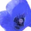 indigopoppies avatar